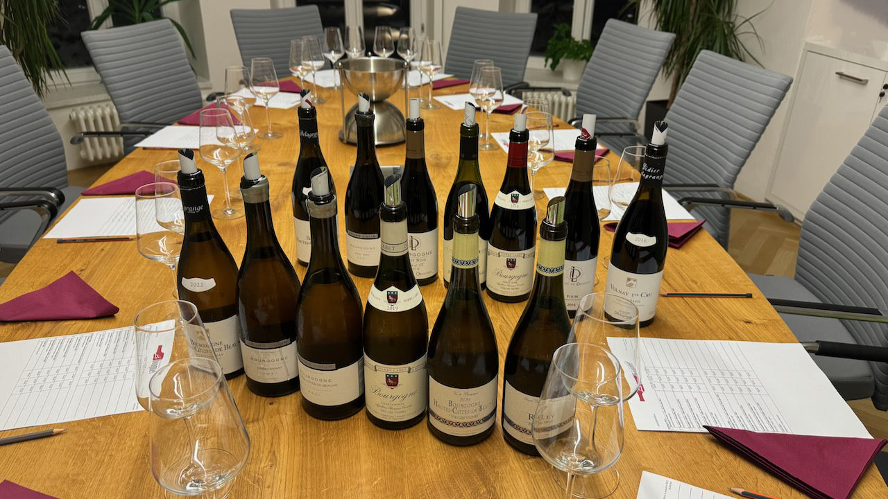 Tasting of Burgundy wines